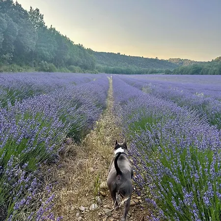 Au Cocon Du Verdon, T2 Gréoux-les-Bains